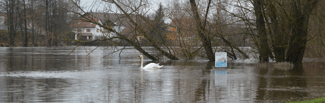 Regen: Hochwasser Im Landkreis Cham | TVA