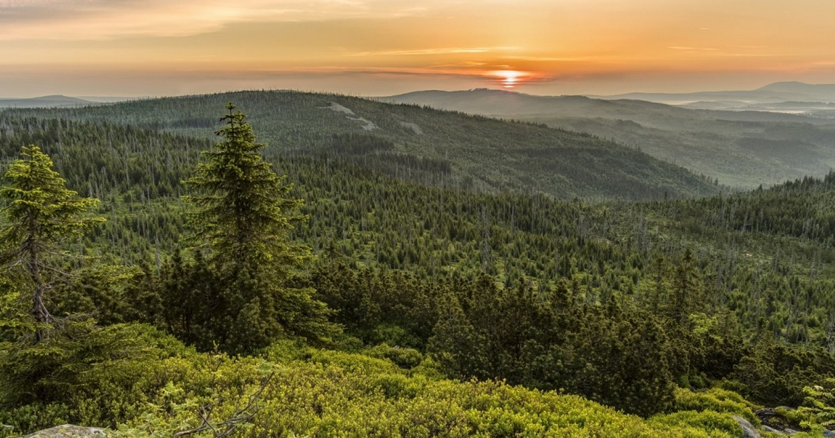 Nationalpark Bayerischer  Wald  wird erweitert TVA